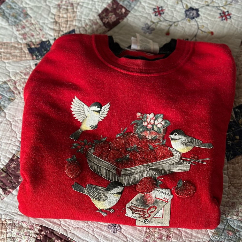 Vintage 1990’s Sweatshirt